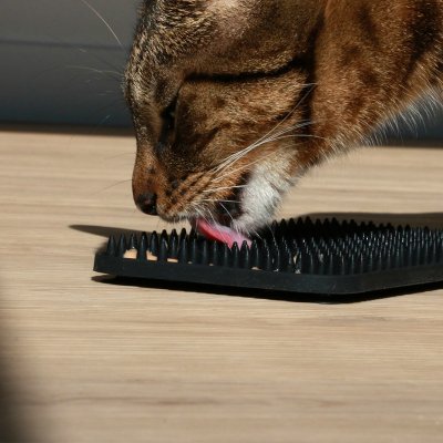 Duvo+ Lízací podložka Lex 20 x 10 cm – Zboží Dáma