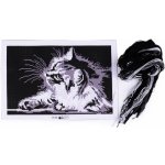 Sada vyšívání předloha jehla mouline kočka – Sleviste.cz