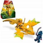 LEGO® Ninjago 71803 Dračí kluzák Arina – Hledejceny.cz