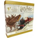Witor's Harry Potter jízdenka do bradavic sušenka s mléčnou čokoládou 126 g – Zboží Dáma