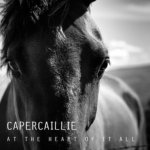 Capercaillie - At The Heart Of It All CD – Hledejceny.cz