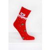 Emi Ross Vánoční ponožky ECC-2907-1