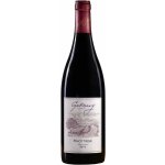 Vinařství Gotberg Pinot Noir výběr z hroznů suché červené 2019 13,5% 0,75 l (holá láhev) – Hledejceny.cz