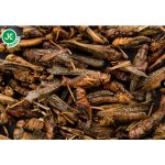 JK ANIMALS Sušené saranče 80 g – Zboží Dáma