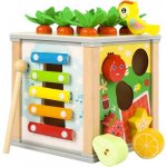 Kruzzel 22566 vkládací kostka edukační 5v1 – Zbozi.Blesk.cz