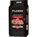 Agro CS Floria Substrát pro jahody 40 l – Hledejceny.cz
