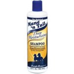 Mane N'Tail šampon 355 ml – Zboží Mobilmania