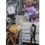 Fandy Fotoalbum samolepící DRS-20 Romance 1 – Zboží Živě