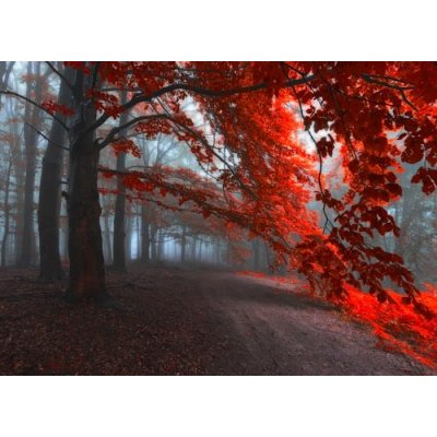 Pohlednice Cesta Serafinů – Zboží Mobilmania