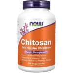 Now Foods Chitosan 500 mg plus Chromium 240 kapslí – Hledejceny.cz