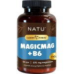 NATU Garden Fusion Hořčík bisglycinát magnesium +vitamin B6 90 kapslí – Hledejceny.cz