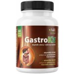 Theo Herbs GastroKit 60 kapslí – Hledejceny.cz