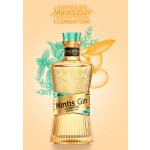 Mintis Gin Clementine 41,8% 0,7 l (holá láhev) – Hledejceny.cz
