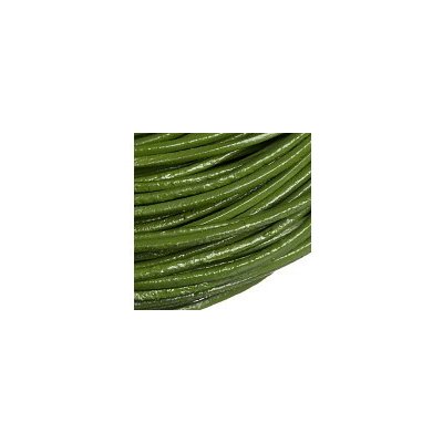 Kožený kord zelený, 1 mm (1 m) – Zboží Dáma