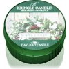 Svíčka Kringle Candle Juniper & Laurel 35 g