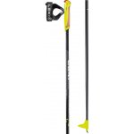 Leki XTA 5.5 Jr 2024/25 – Zboží Dáma