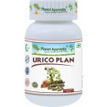 Planet Ayurveda Urico Plan 500 mg 60 kapslí – Hledejceny.cz