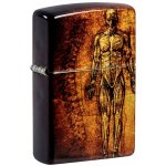 Zippo Anatomy Design 66054 – Hledejceny.cz