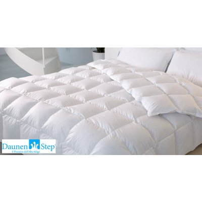 DaunenStep přikrývka z mikrovlákna s vlastnostmi peří celoroční 240x220 – Zbozi.Blesk.cz