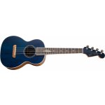 Fender Dhani Harrison – Zboží Dáma