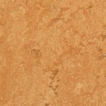 Forbo Marmoleum home h45 2 m 1 m² – HobbyKompas.cz