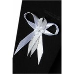 Svatební mašlička malá, laděná do bílo stříbrné barvy – Sleviste.cz