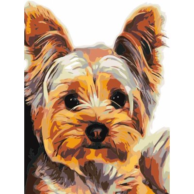 Titanum Malování podle čísel na plátno YORKSHIRE 30 x 40 cm – Sleviste.cz