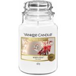 Yankee Candle Classic Beach Walk 623 g – Zboží Dáma