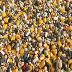 Avicentra Classic Holub 25 kg – Zboží Mobilmania