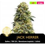 Drskunk Jack Herer Feminizováno semena neobsahují THC 1 ks – Hledejceny.cz