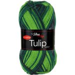 Vlna-hep Tulip color 5212 zeleno-světlý melír – Zboží Dáma