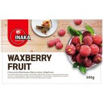 Inaka Panasia Mražený Arbutus Waxberry/Bayberry 500 g – Zboží Dáma