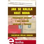 Jak se kalila Kozí Noha. Tragikomický dokument z doby budování socialismu v pohraničí - Svatopluk Václav Vobejda – Hledejceny.cz