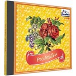 Jiří Zmožek - Pro Aničku CD – Hledejceny.cz