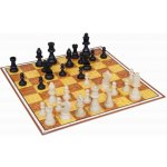 Detoa DETOA Šachy STEUTON – Zboží Dáma