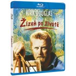 ŽÍZEŇ PO ŽIVOTĚ - Blu-ray – Zboží Mobilmania