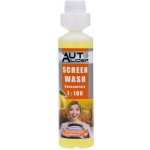 Auto-Lider Letní kapalina do ostřikovačů koncentrát citron 250 ml – Hledejceny.cz