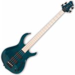 Sire Marcus Miller M2 4 – Hledejceny.cz