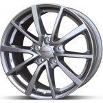 Platin P95 6x16 5x100 ET45 silver | Zboží Auto