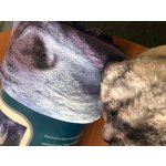 Jerry Fabrics Mikroflanelová dětská deka Leopard green – Zboží Mobilmania