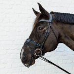 Kentucky Síťka na nozdry černá – Zboží Dáma