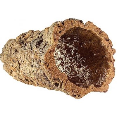 Hobby Korková kůra trubice 10-15x60-80 cm – Sleviste.cz