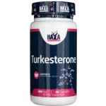 Haya Labs Turkesterone 500 60 kapslí – Hledejceny.cz