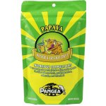 Pangea Fruit Mix Papaya Complete Gecko Diet 56 g – Zboží Mobilmania