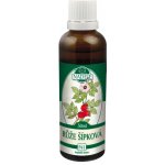 Naděje Růže šípková výluh z pupenů 50 ml – Hledejceny.cz