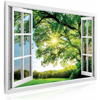 Malvis ® Obraz okno obrovský strom Velikost (šířka x výška): obdélník - 150x100 cm – Zboží Mobilmania