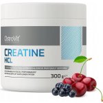 OSTROVIT Creatine 300 g – Hledejceny.cz