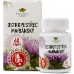 Ekomedica Ostropestřec 60 kapslí – Hledejceny.cz