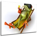 Obraz 1D - 100 x 70 cm - Grenouille et chaise longue animální srdcovka výhybky drn – Hledejceny.cz