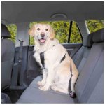 Trixie Postroj bezpečnostní do auta pro psa L – Zboží Mobilmania